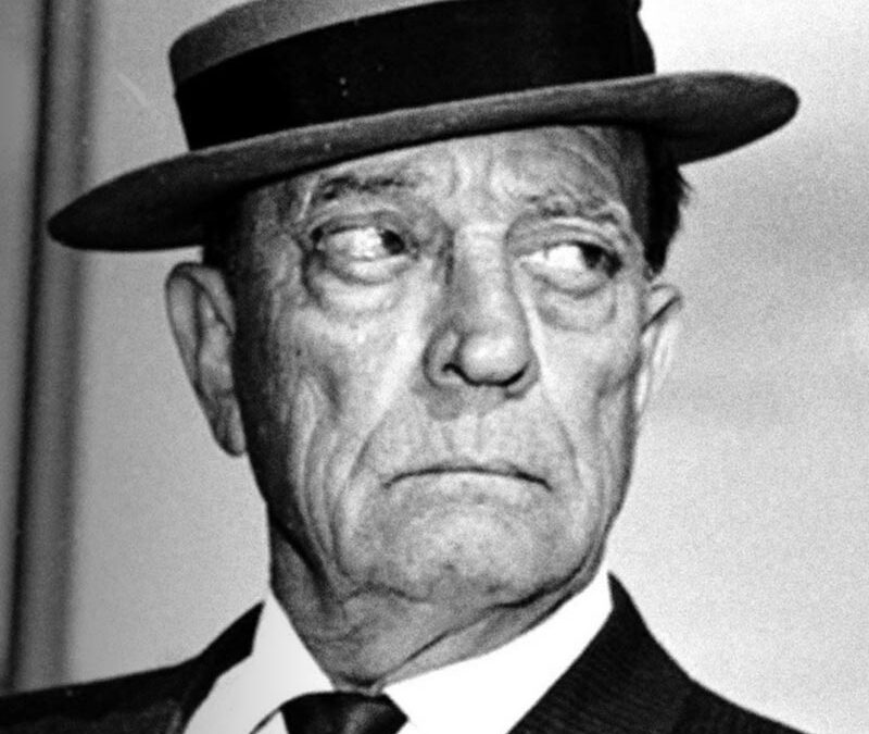 Buster Keaton Rides Again