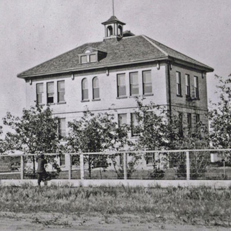 Supporting the Community